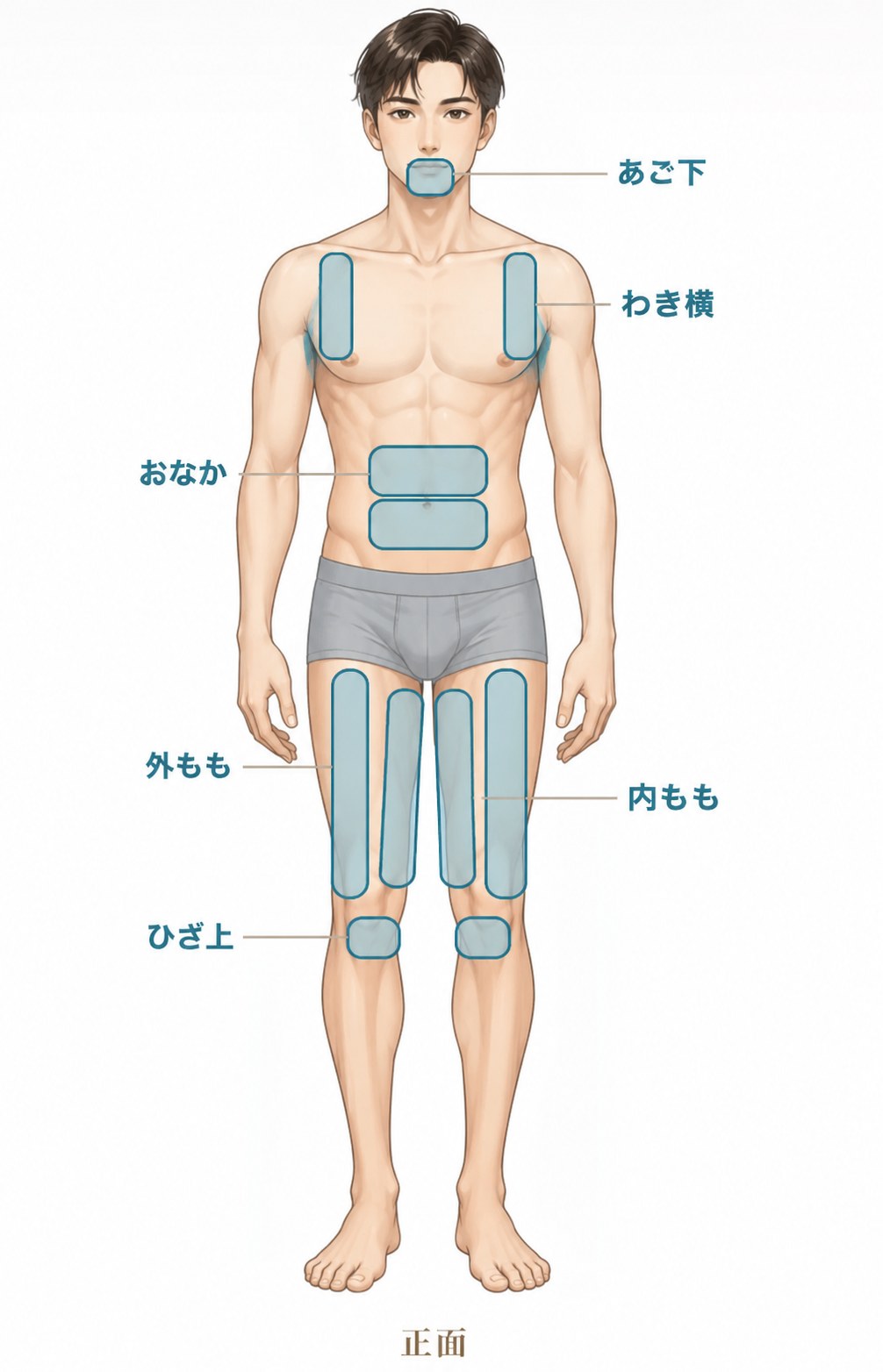 脂肪冷却の対応部位（正面）あご下・わき横・おなか・外もも・内もも・ひざ上