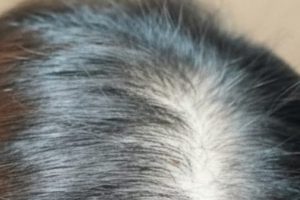 AIシミュレーターの作例。加工前